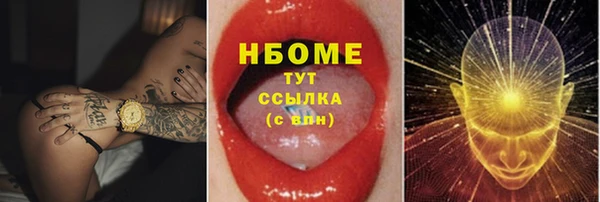 твердый Инсар