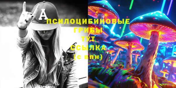 прущий лед Инта