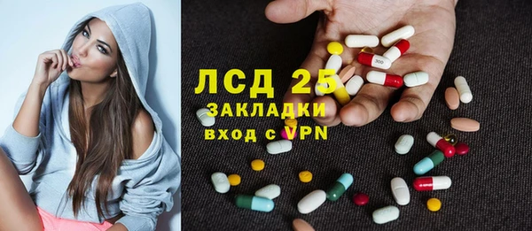 твердый Инсар
