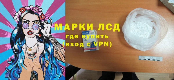 твердый Инсар