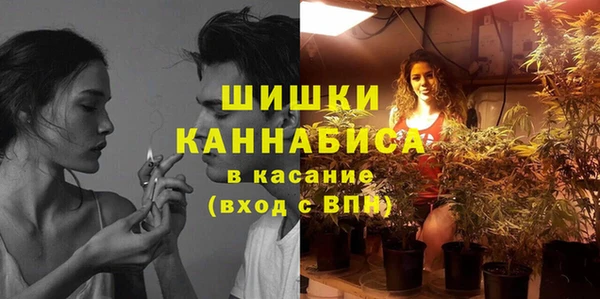 твердый Инсар
