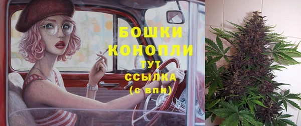 прущий лед Инта