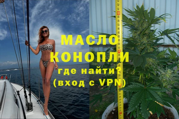 твердый Инсар