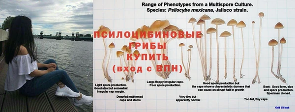 хмурый Иннополис