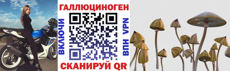 Галлюциногенные грибы мицелий  Купить где  Кириши 