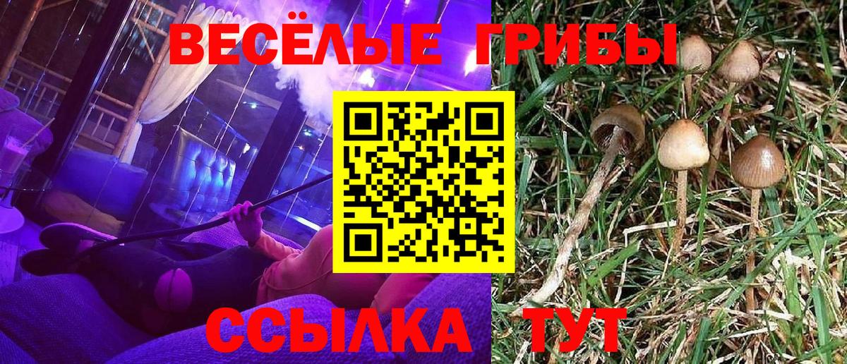 Псилоцибиновые грибы ЛСД Кириши