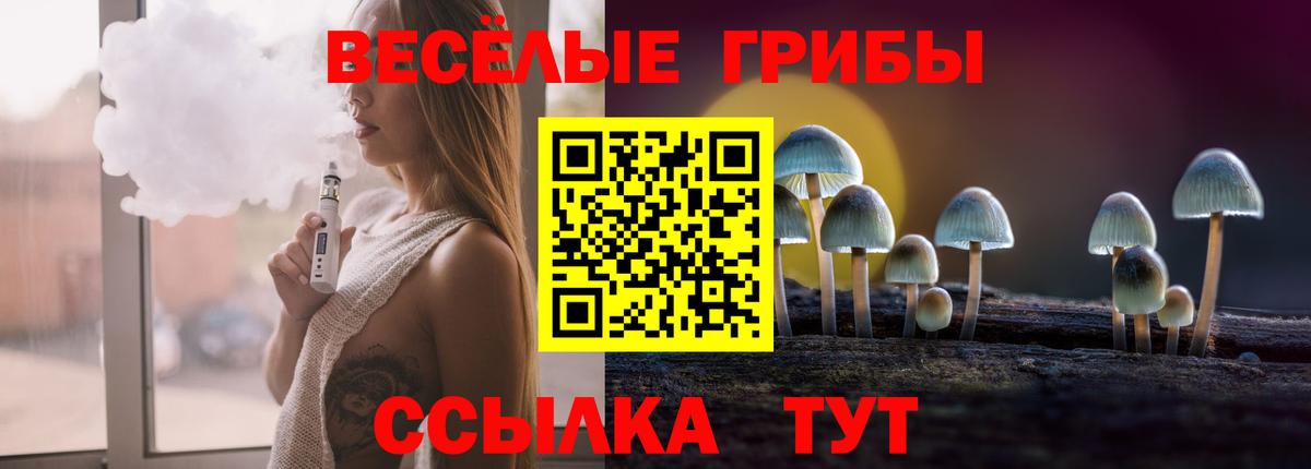 Кириши  Галлюциногенные грибы ЛСД  Галлюциногенные грибы Psilocybine cubensis  Вход с VPN 